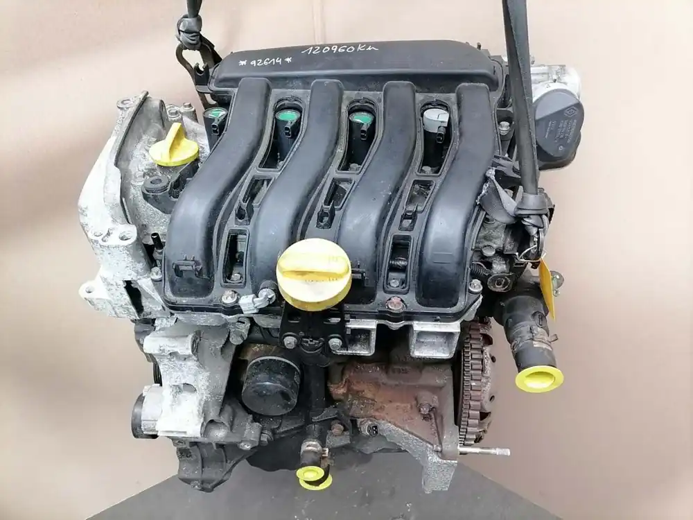 Motor gebraucht RENAULT CLIO III (BR/CR) Baujahr 2005 Direktkauf