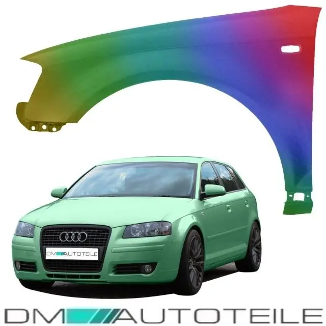 Highlight Set Audi A3 8P 8PA Fender Wing Left Front Steel 03-08 PAINTED