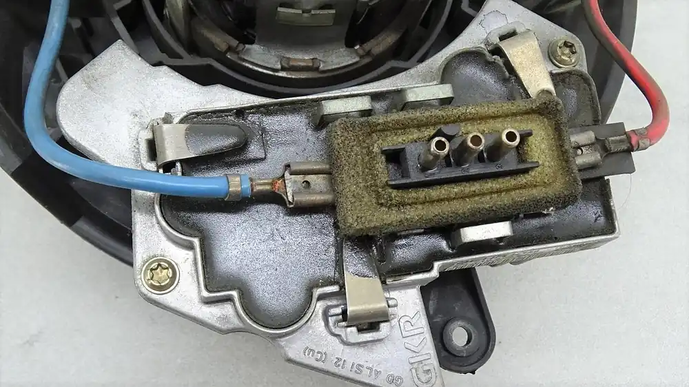 Türen gebraucht VW PASSAT (3B2/3B5) Baujahr 2000 Schnäppchen